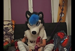 Fursuit Femboy fuck elsewhere out be beneficial to one's mind Forlorn Dragon Rex XL